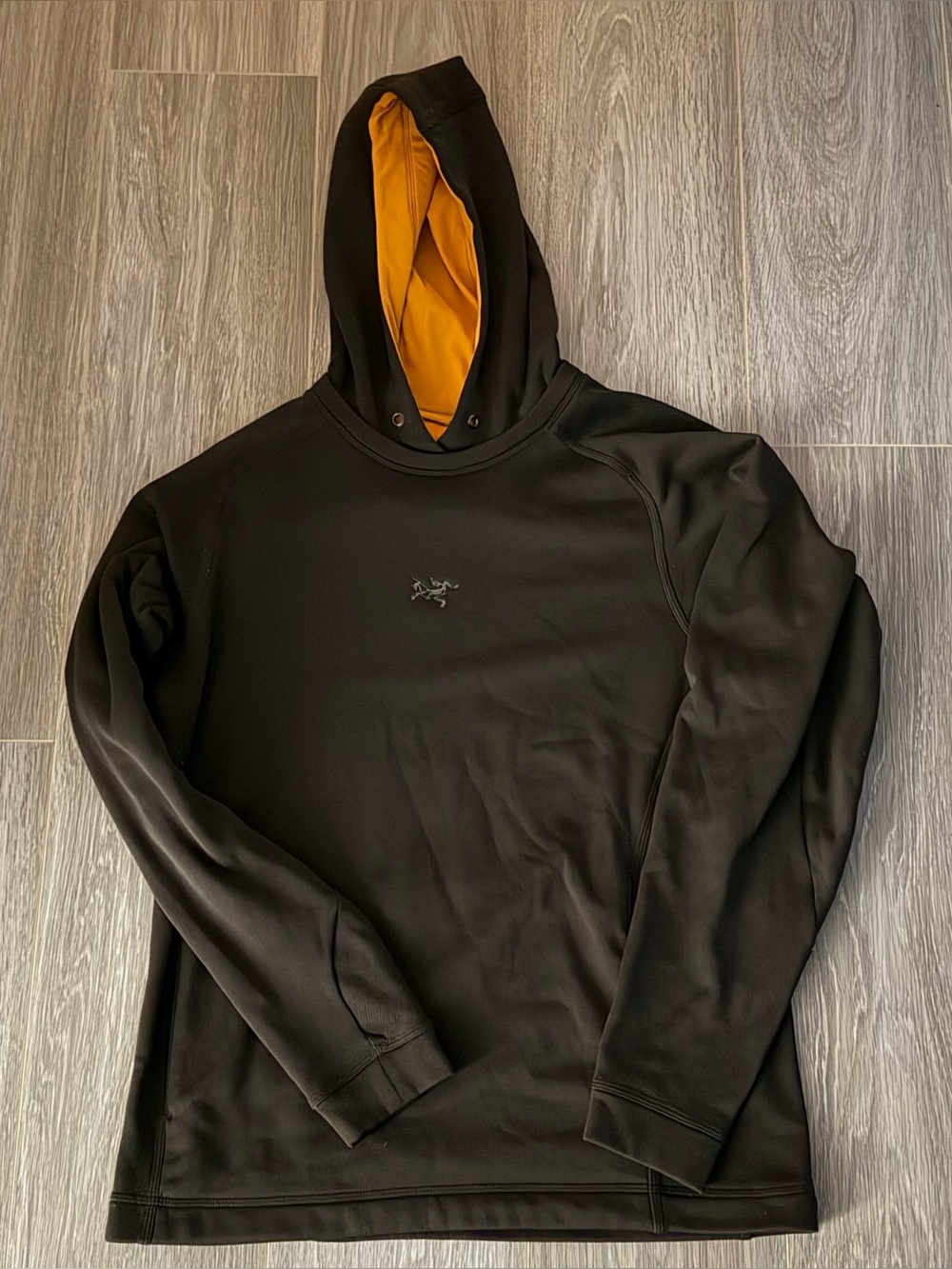 Older Arc’teryx hoodie, Size Large